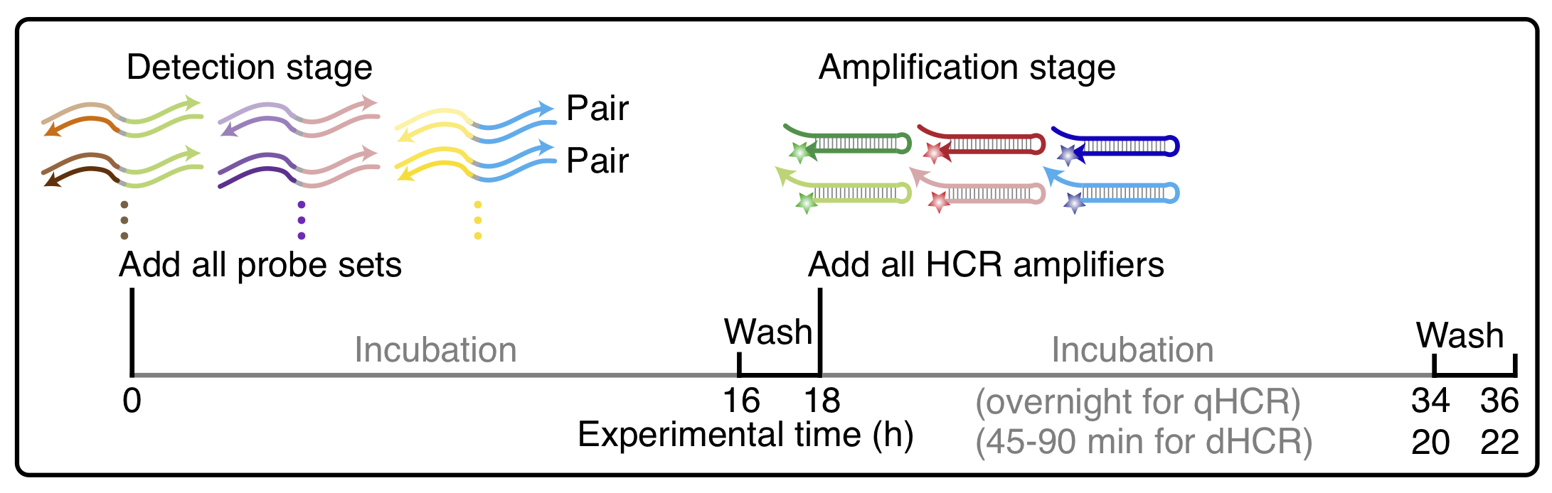 Insituhcrv3 multiplexing